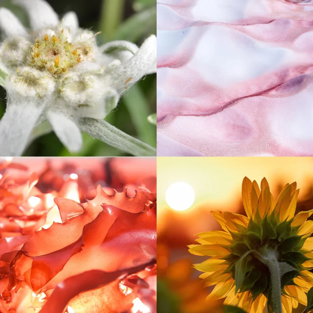 Potencia la juventud de tu piel con nuestra avanzada fórmula antiedad